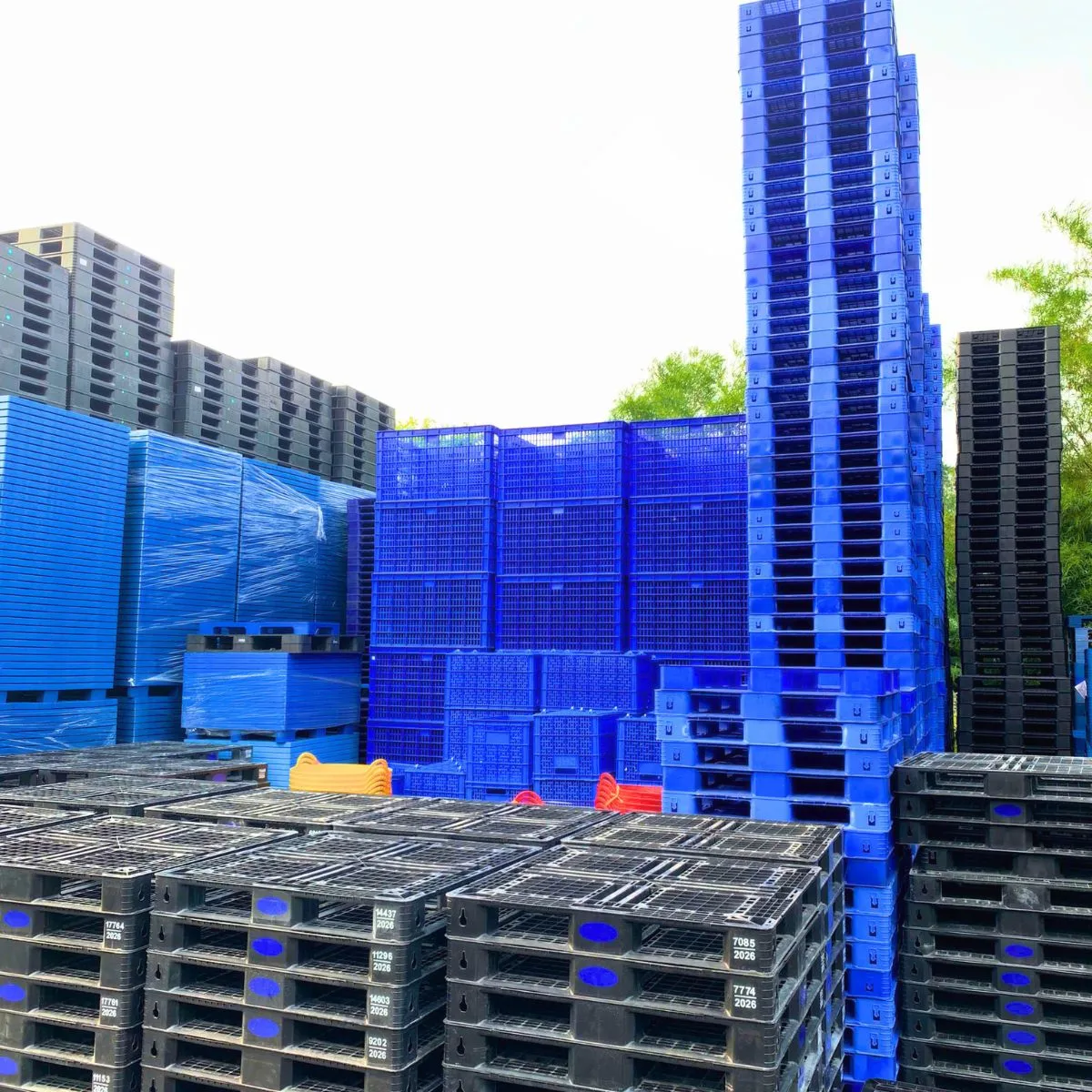 Pallet Nhựa 600x1000x100mm Xanh HDPE Tái Chế Loại 1 - Ảnh 2