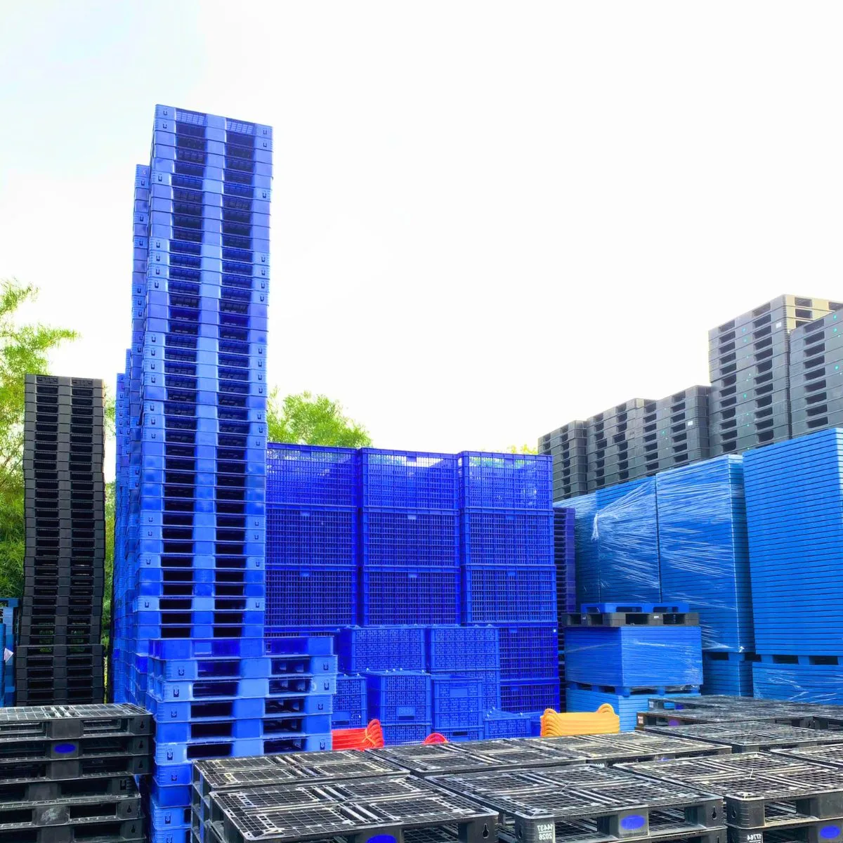 Pallet Nhựa 600x1000x100mm Xanh HDPE Nguyên Sinh Mới 100% - Ảnh 2