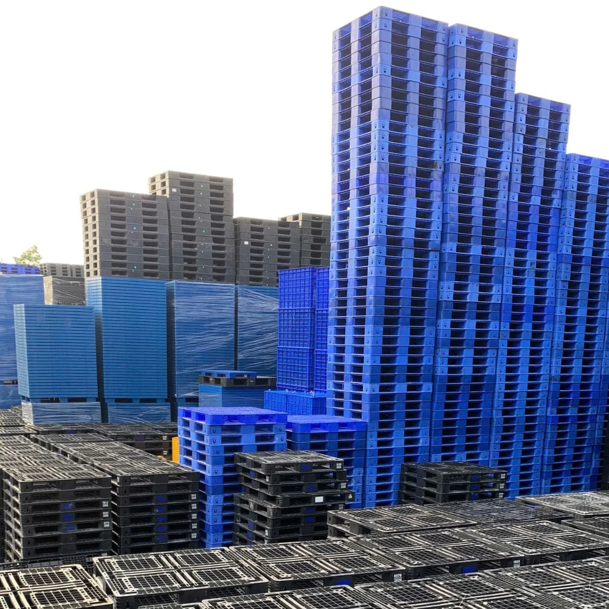 Kho hàng Pallet Nhựa 600x600x100mm xanh tại Mai Trâm Plastic