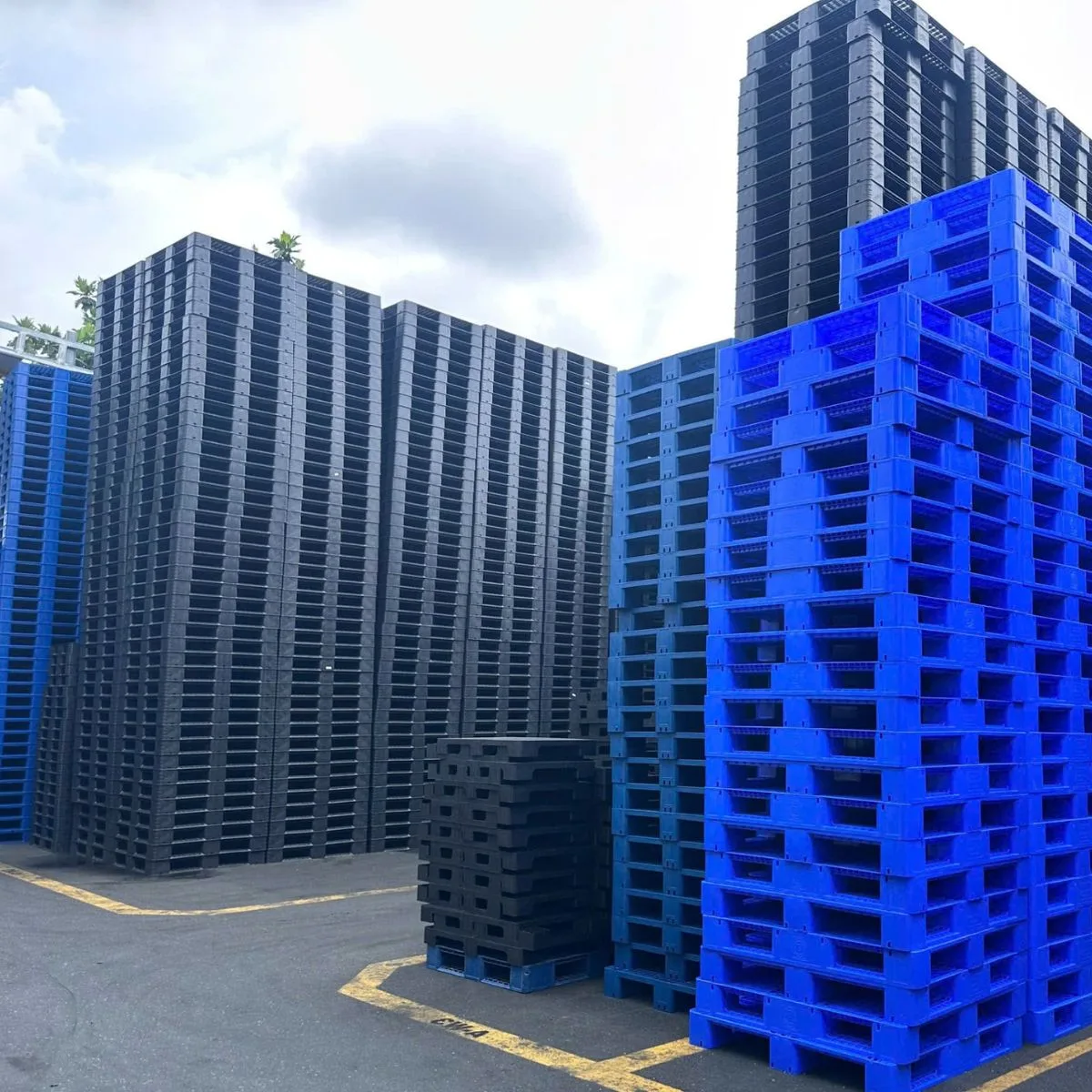 Pallet Nhựa 600x1000x100mm Đen HDPE Tái Sinh Mới 100% - Ảnh 2