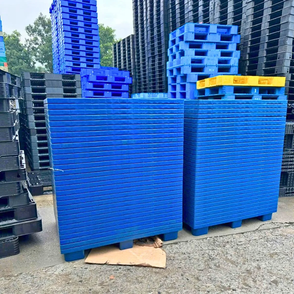 Pallet Nhựa Chân Cốc 1200x1200x140