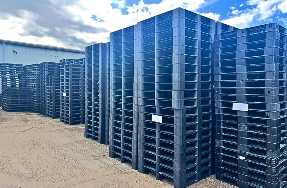 Mai Trâm Plastics cung cấp đa dạng các loại pallet nhựa đen với kích thước và tải trọng khác nhau.