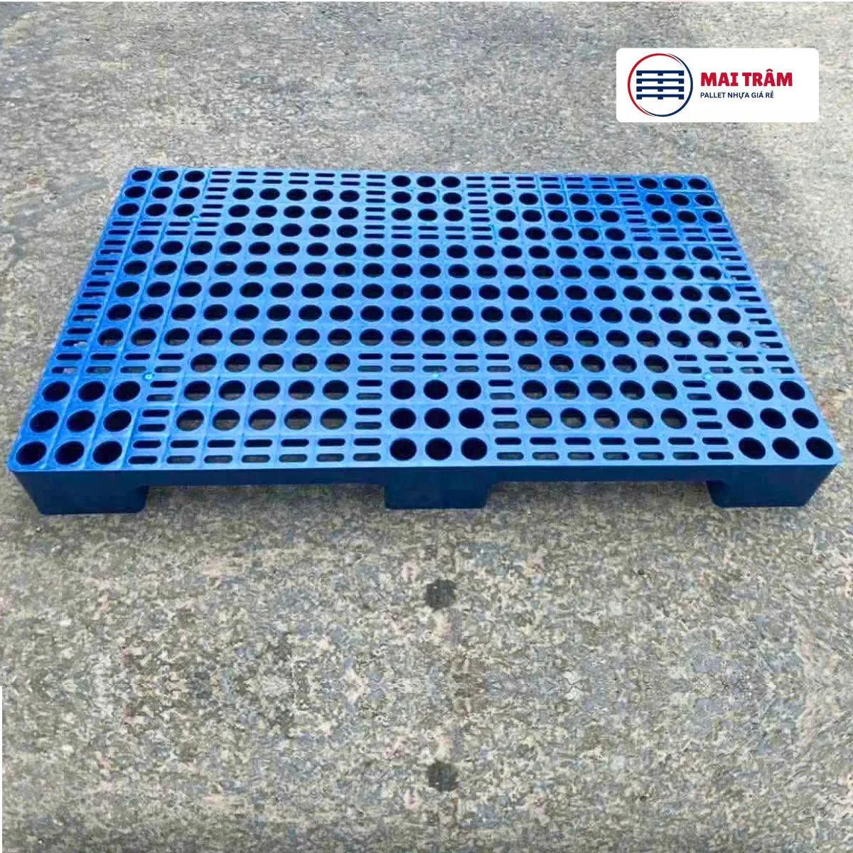 Pallet Nhựa 600x1000x100mm Xanh HDPE Tái Chế Mới 100%