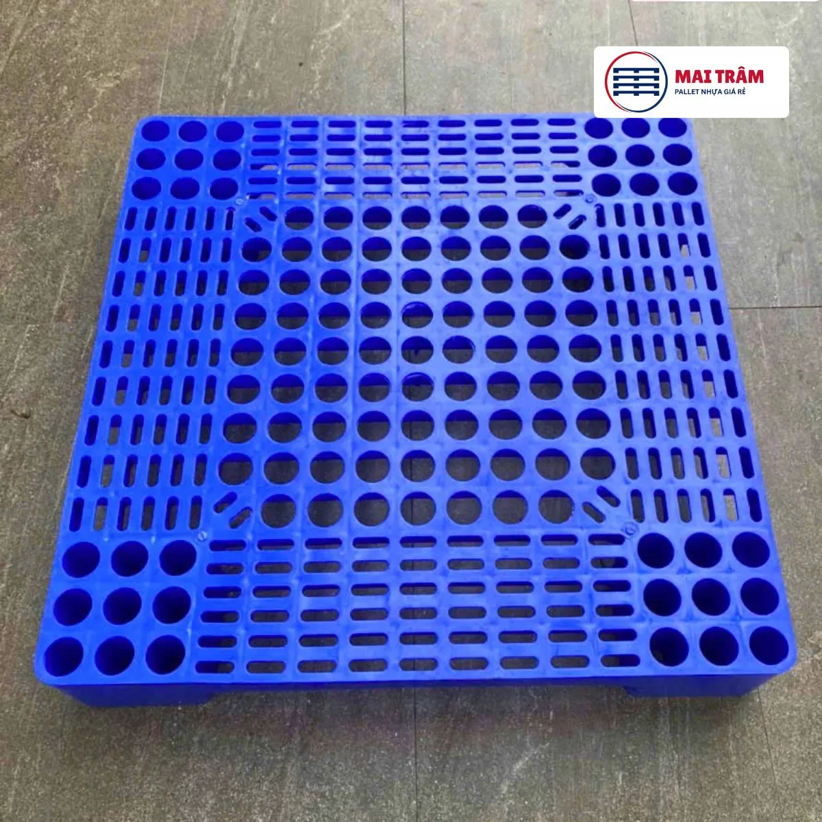 Pallet Nhựa 600x600x100mm HDPE Nguyên Sinh Xanh Dương