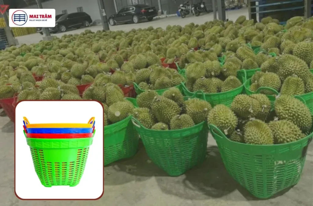 Cần Xé Nhựa Cao Cấp: Giải Pháp Vận Chuyển Nông Thủy Sản Bền Bỉ