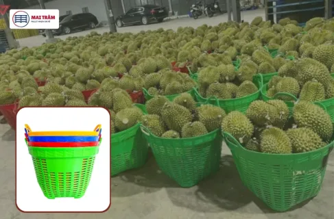 Cần Xé Nhựa Cao Cấp: Giải Pháp Vận Chuyển Nông Thủy Sản Bền Bỉ