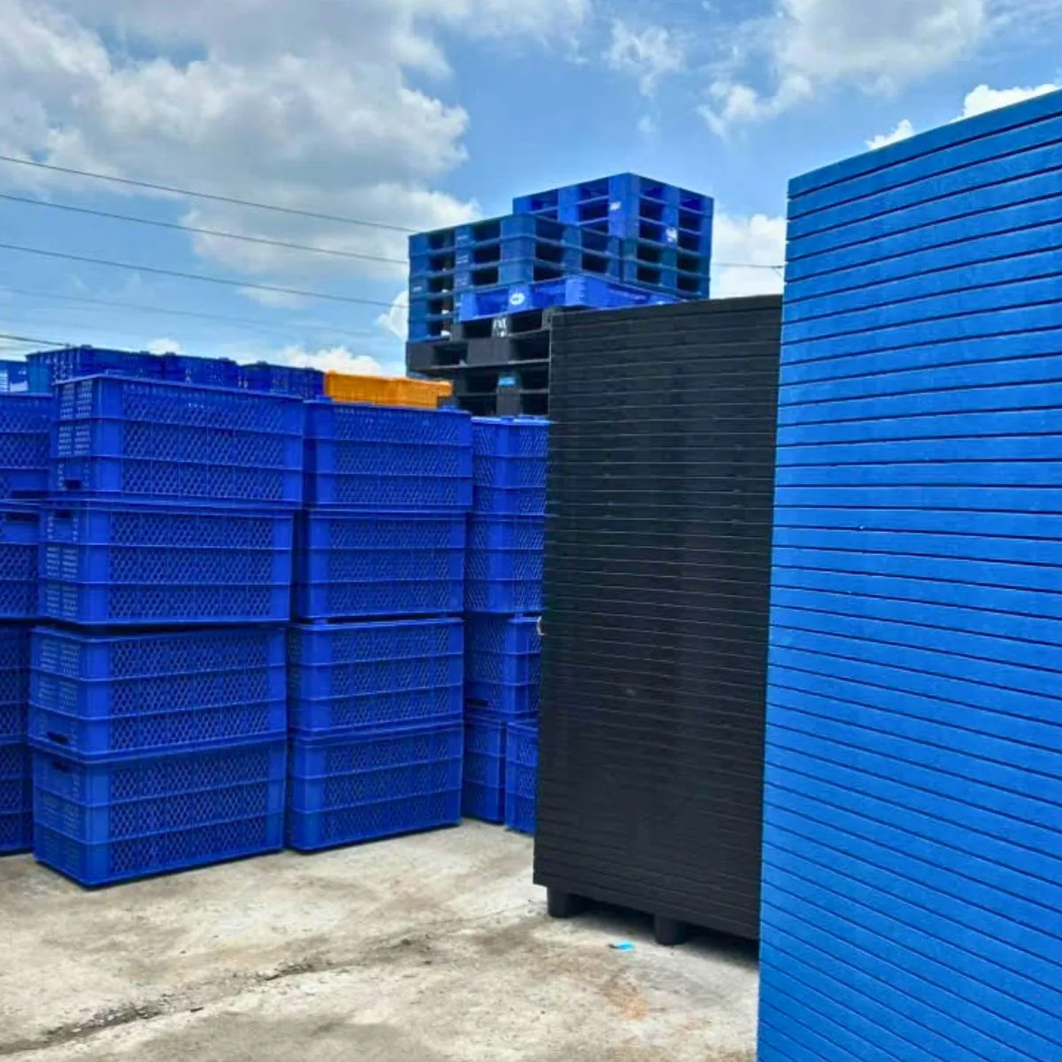 Pallet Nhựa Chân Cốc 1200x1000x140mm xanh và đen