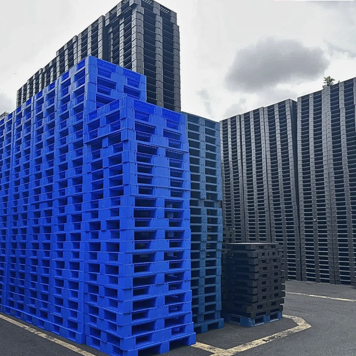 Pallet Nhựa Cũ 1100x1100x150mm xanh