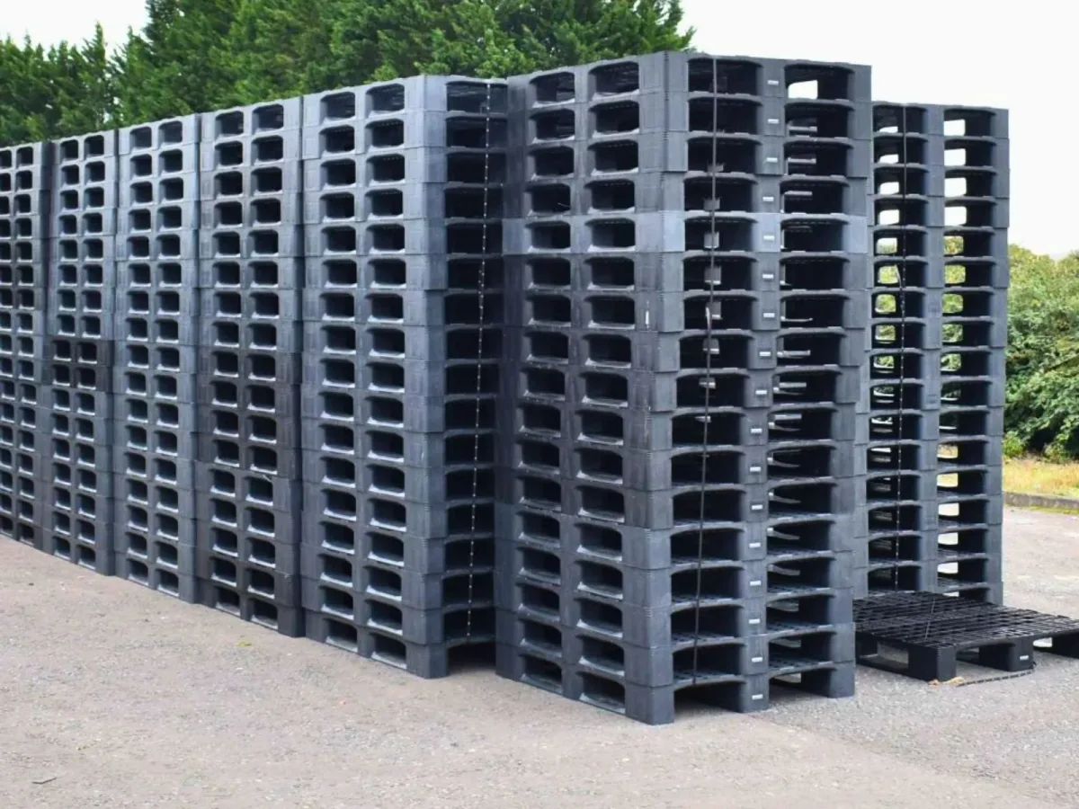 Kho hàng Mặt sau Pallet Nhựa Cũ với số lượng lớn và đa dạng kích thước