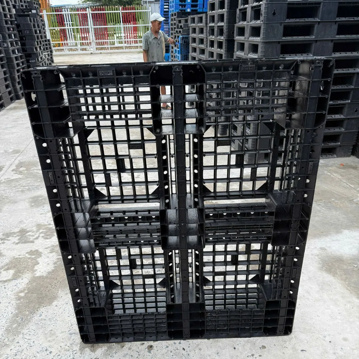 Kho Pallet Nhựa Mặt Lưới 1200x1000x150mm
