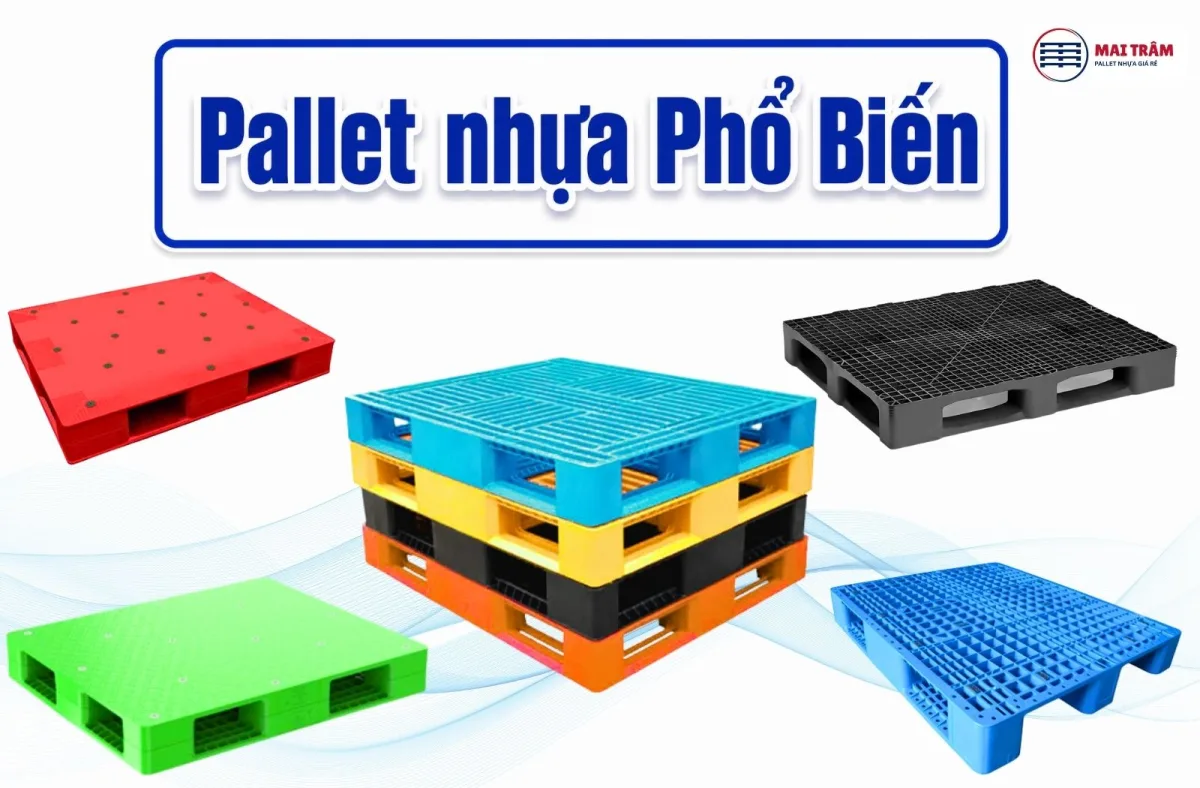 Tuyển Tập Hình Ảnh Pallet Nhựa Thực Tế Và Cách Chọn Phù Hợp