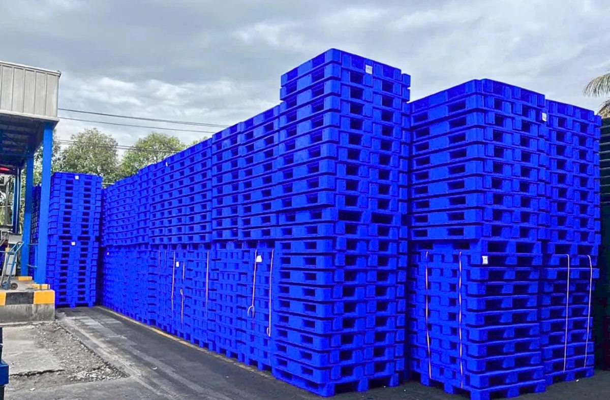 Mai Trâm Plastic chuyên cung cấp các loại pallet nhựa cho kho lạnh, giao hàng toàn quốc