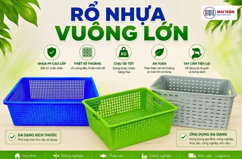 Rổ Nhựa Vuông Lớn Là Gì? Đặc Điểm, Ưu Điểm Và Ứng Dụng Thực Tế
