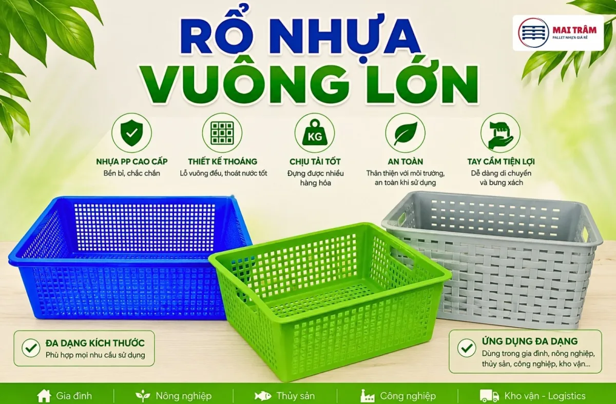 Rổ Nhựa Vuông Lớn Là Gì? Đặc Điểm, Ưu Điểm Và Ứng Dụng Thực Tế