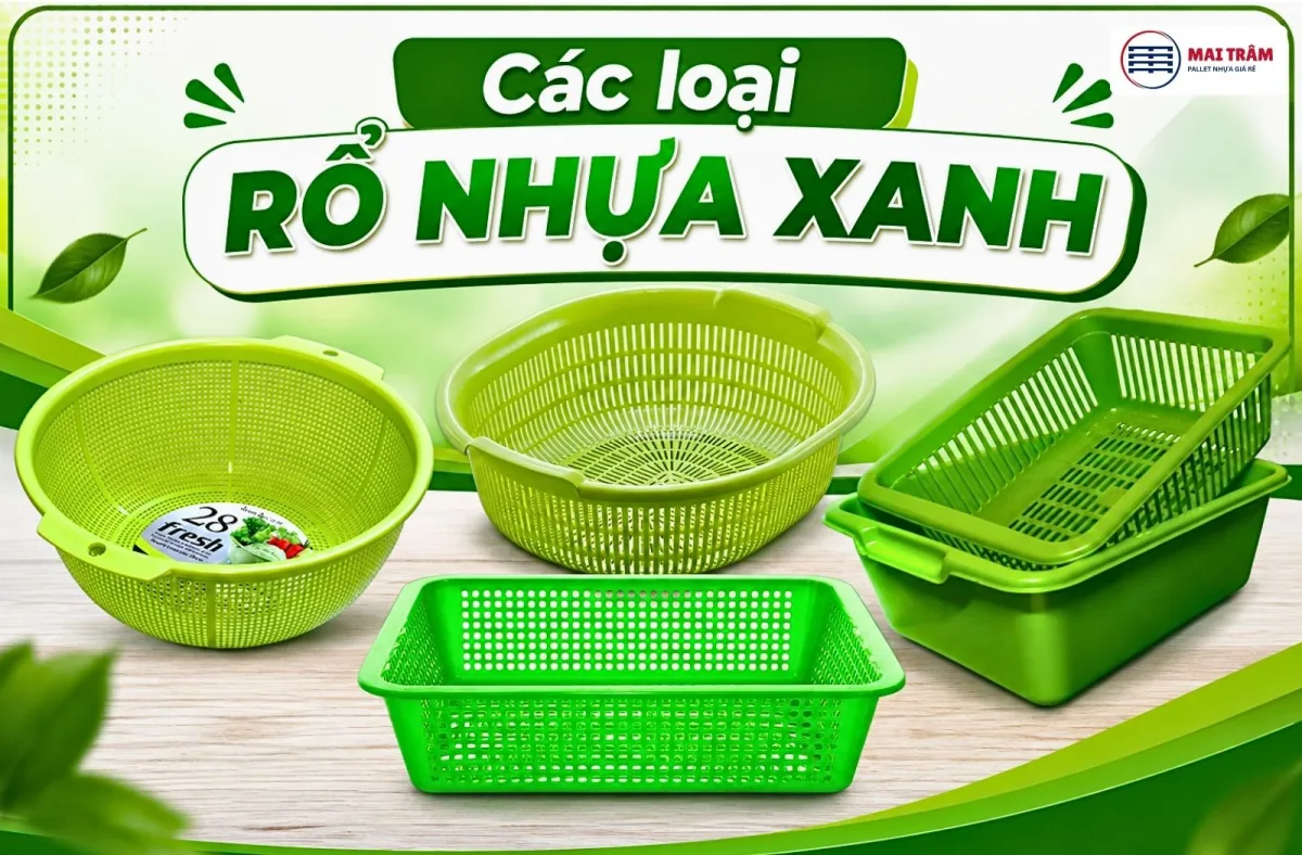 Khám Phá Rổ Nhựa Xanh: Ý Nghĩa Màu Sắc và Các Loại Phổ Biến