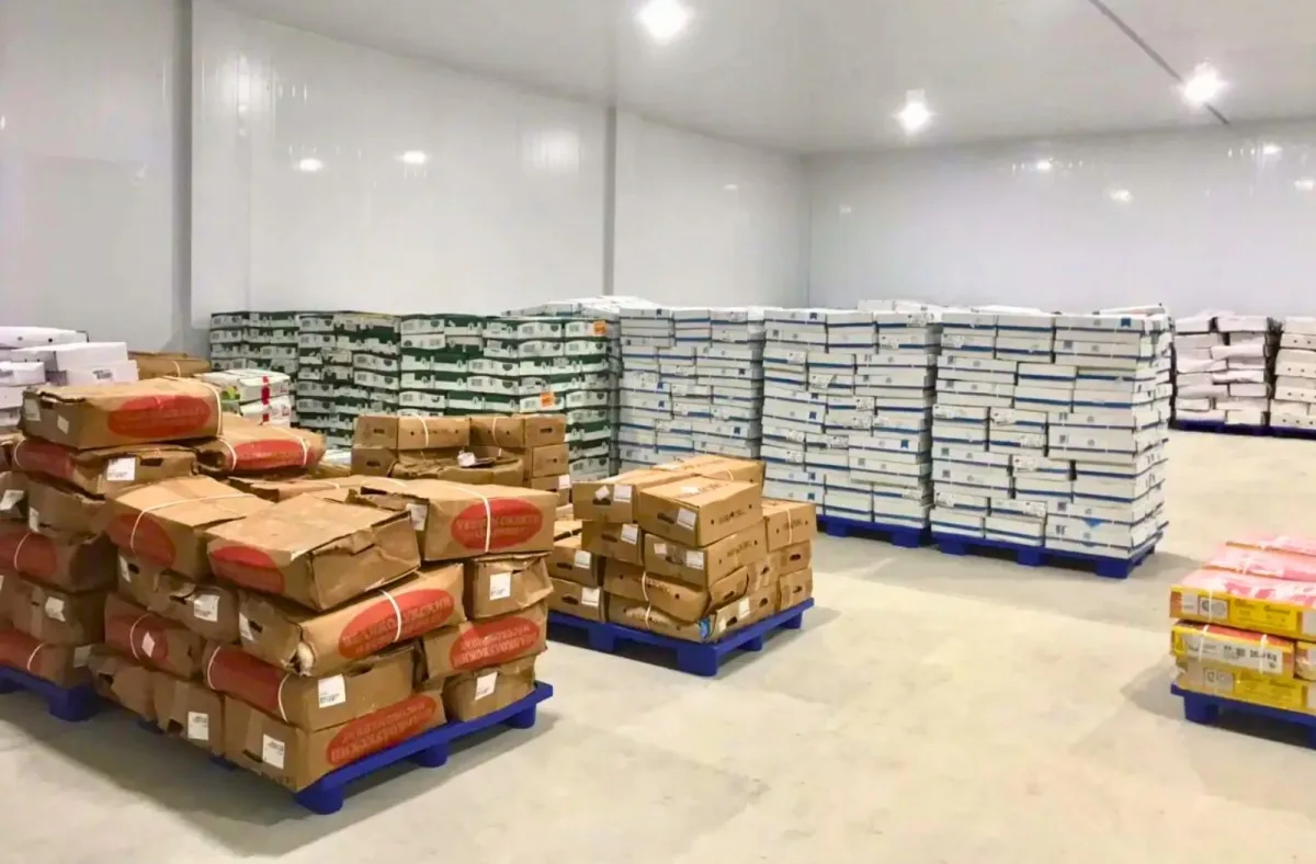 Pallet nhựa 1 mặt được sử dụng kê hàng tại kho bãi