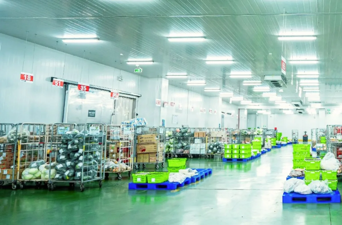 Pallet nhựa kho lạnh tại cơ sở lưu trữ hàng hóa