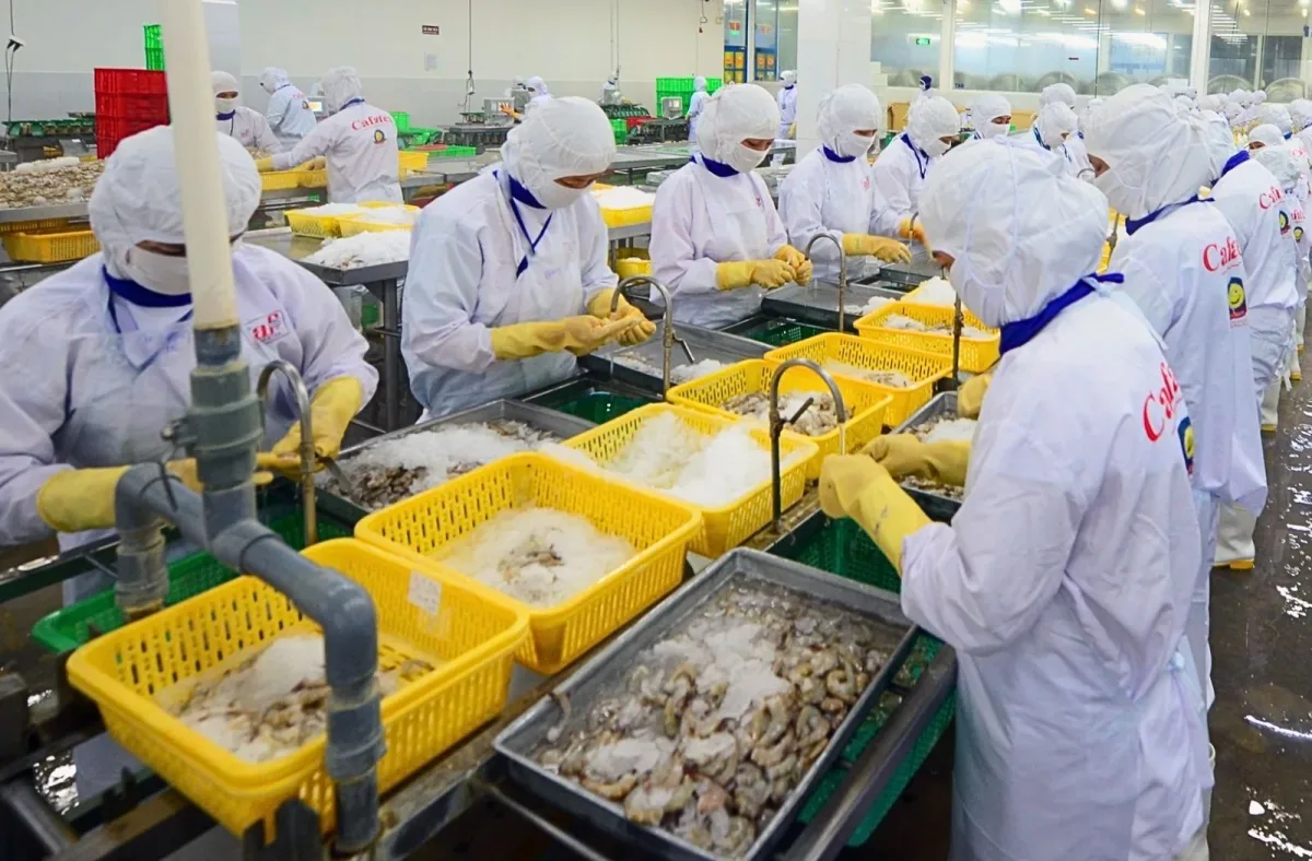 Rổ Nhựa Vuông Lớn được sử dụng sơ chế thủy hải sản