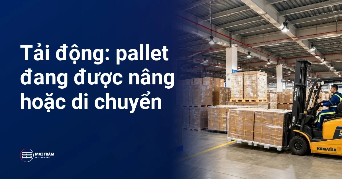 Xe nâng đang nâng pallet chất hàng thùng trong kho, minh hoạ tải động khi pallet được nâng và di chuyển
