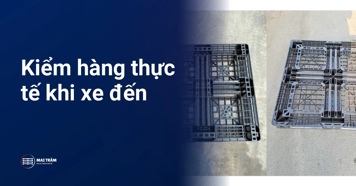 Hai chiếc pallet nhựa cũ nhìn từ mặt dưới đặt cạnh nhau, minh hoạ bước kiểm hàng thực tế khi thu mua