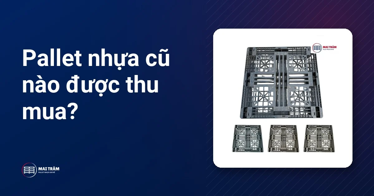 Pallet nhựa cũ mặt lưới màu xám đen nhìn từ trên xuống, kèm ba chiếc cùng khổ xếp hàng bên dưới