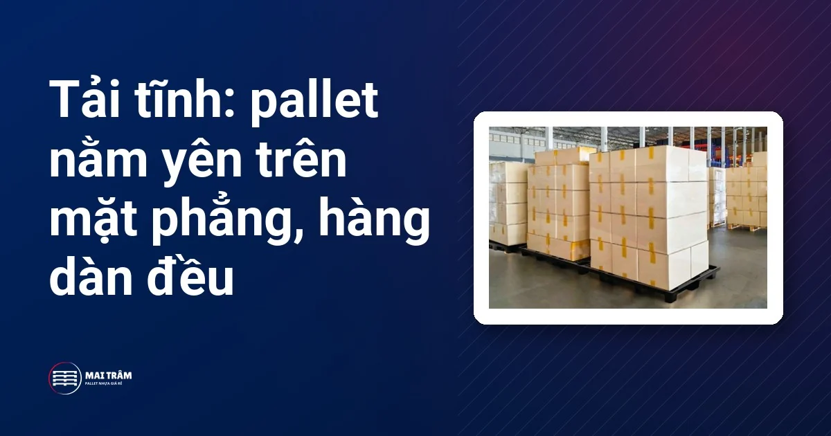 Pallet nhựa đen chất hàng thùng carton xếp đều, đặt trên nền kho phẳng, minh hoạ tải tĩnh của pallet nhựa
