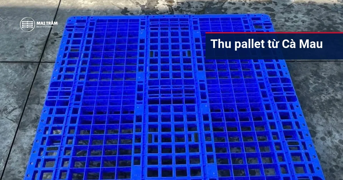 Pallet nhựa cũ mặt lưới màu xanh dương đặt trên nền sân, nhìn từ trên xuống
