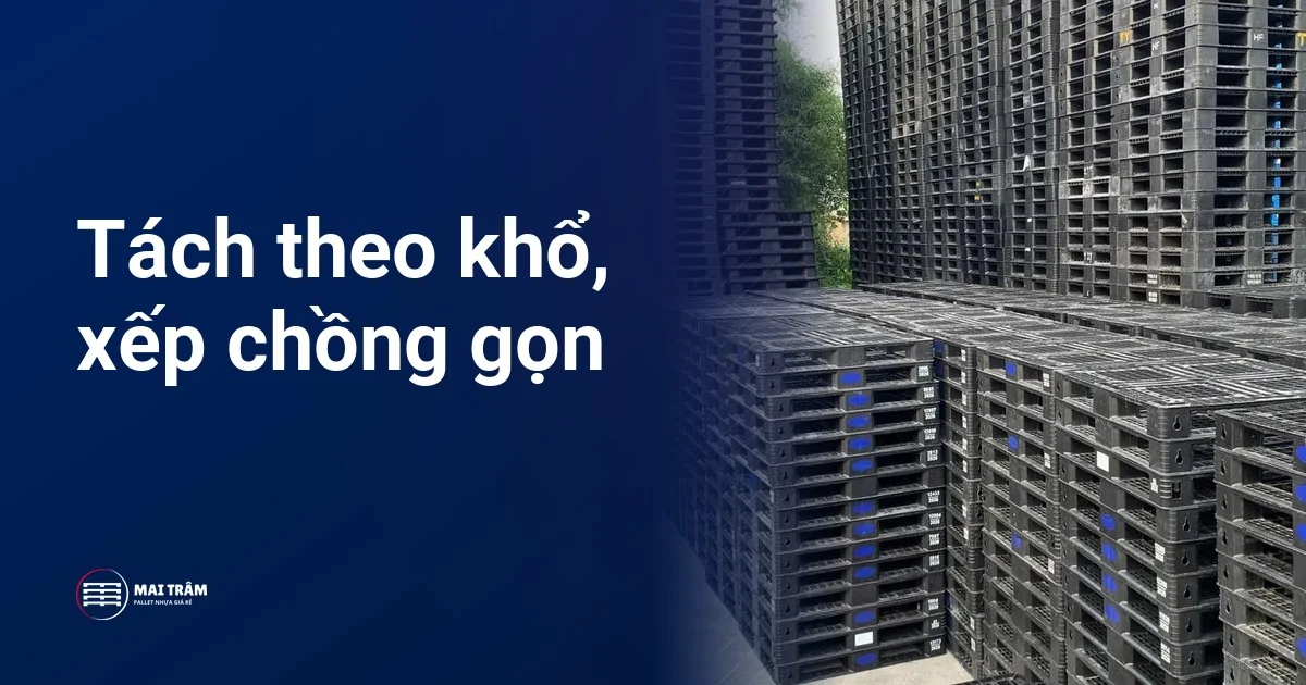 Các chồng pallet nhựa cũ màu đen xếp gọn theo hàng tại bãi kho Mai Trâm