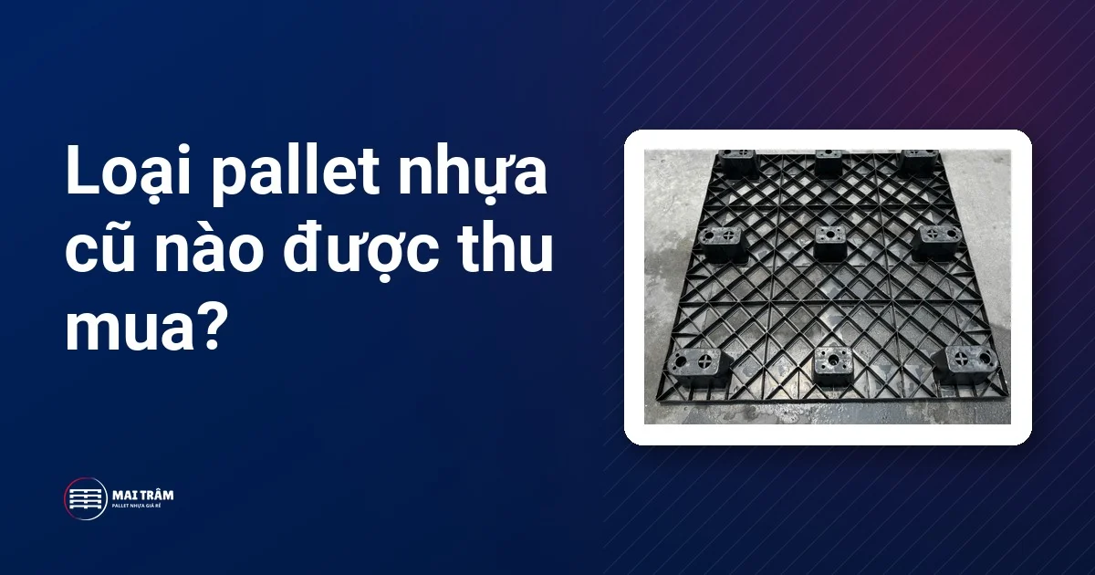 Mặt lưới chân cốc của pallet nhựa cũ nhìn từ trên xuống, dòng hàng được hỏi thu mua lại