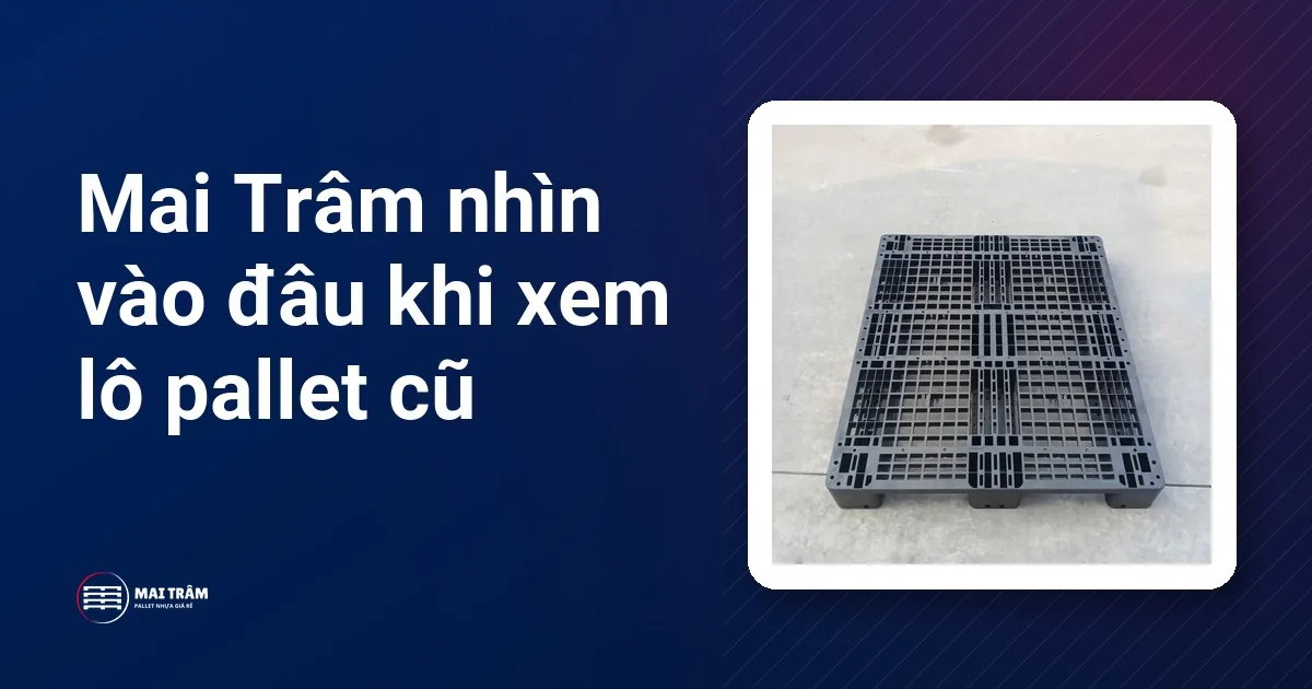 Pallet nhựa cũ mặt lưới màu đen đặt trên nền xi măng, thấy rõ mặt trên và chân, kèm tiêu đề xem lô pallet cũ