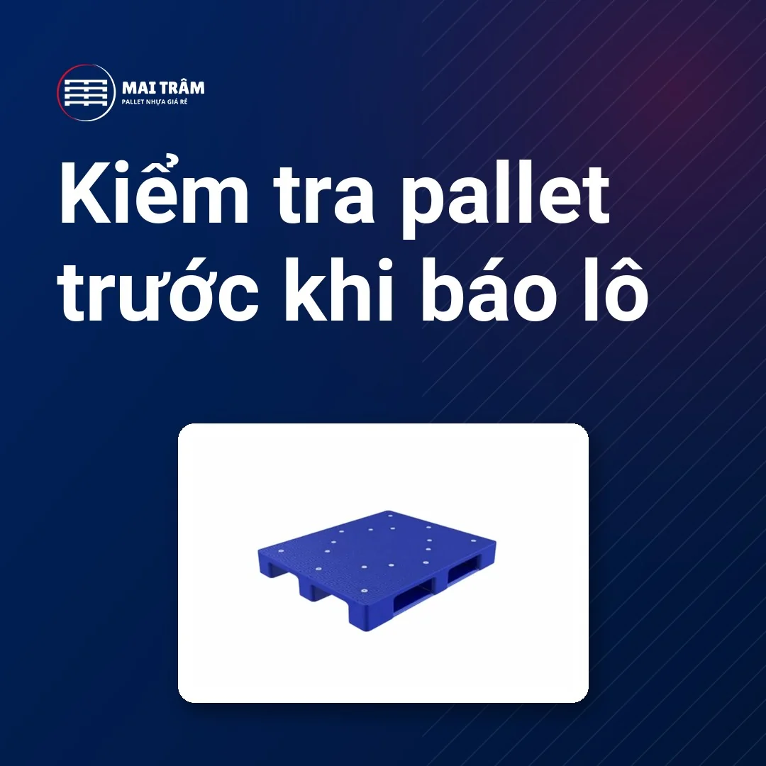 Pallet nhựa mặt kín của Mai Trâm, minh họa quan sát mặt và chân khi đánh giá lô