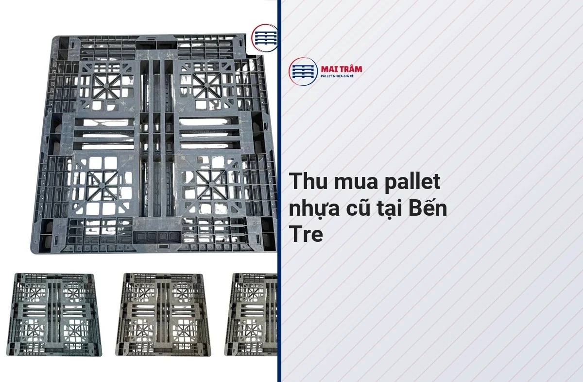 Pallet nhựa cũ mặt lưới chụp từ dưới, cạnh tiêu đề thu mua pallet cũ tại Bến Tre.
