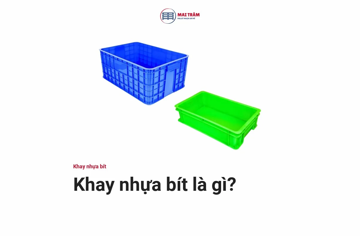 Hai khay nhựa bít xanh dương và xanh lá có thành và đáy kín, không khoét lỗ thoát