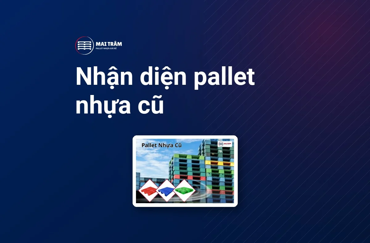 Các kiểu pallet nhựa cũ được xếp cạnh nhau để phân biệt dòng hàng trước khi báo lô