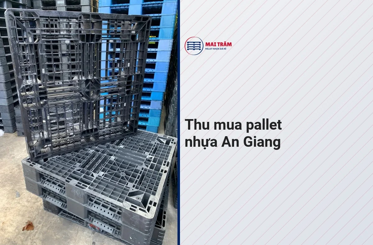 Thu mua pallet nhựa An Giang: hai pallet nhựa cũ màu đen xếp chồng tại kho cạnh chồng pallet xanh