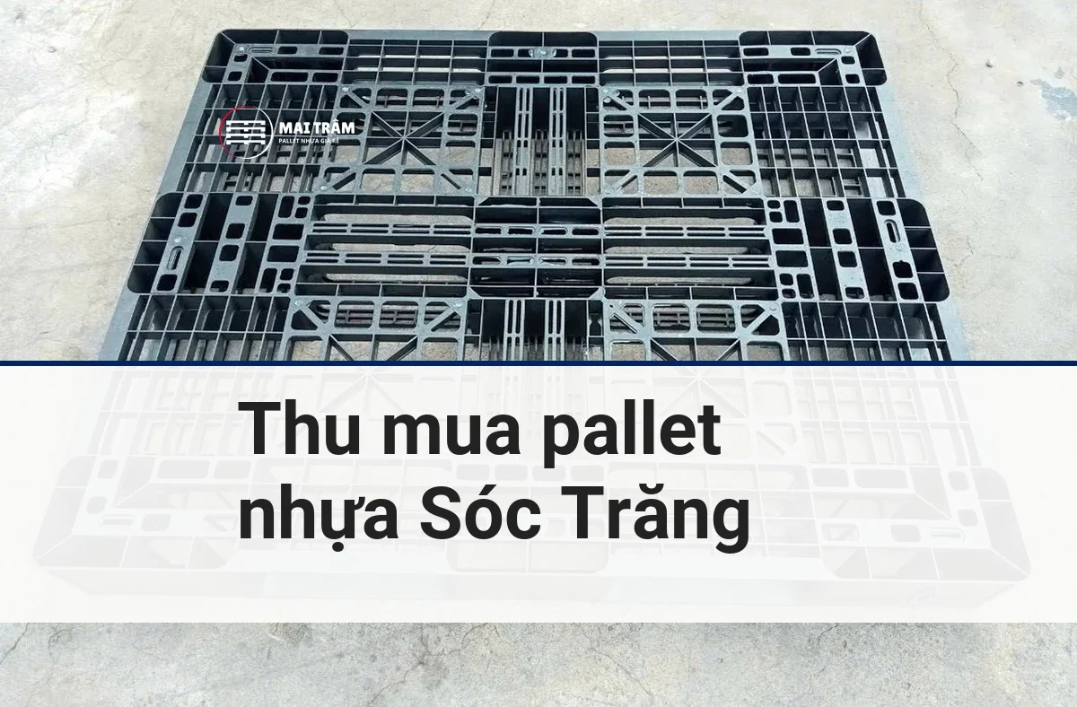 Pallet nhựa cũ màu đen nhìn từ trên xuống phía trên dải tiêu đề Thu mua pallet nhựa Sóc Trăng