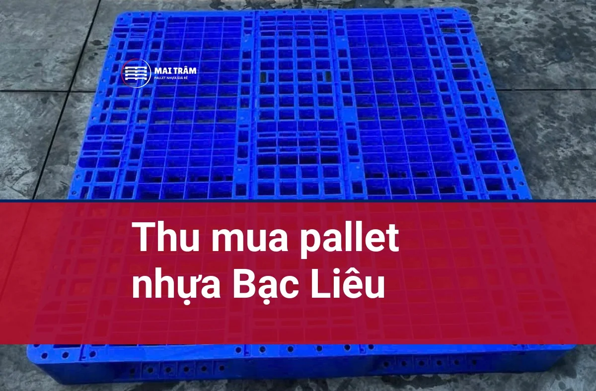 Pallet nhựa cũ màu xanh mặt lưới nhìn từ trên xuống, kèm tiêu đề Thu mua pallet nhựa Bạc Liêu
