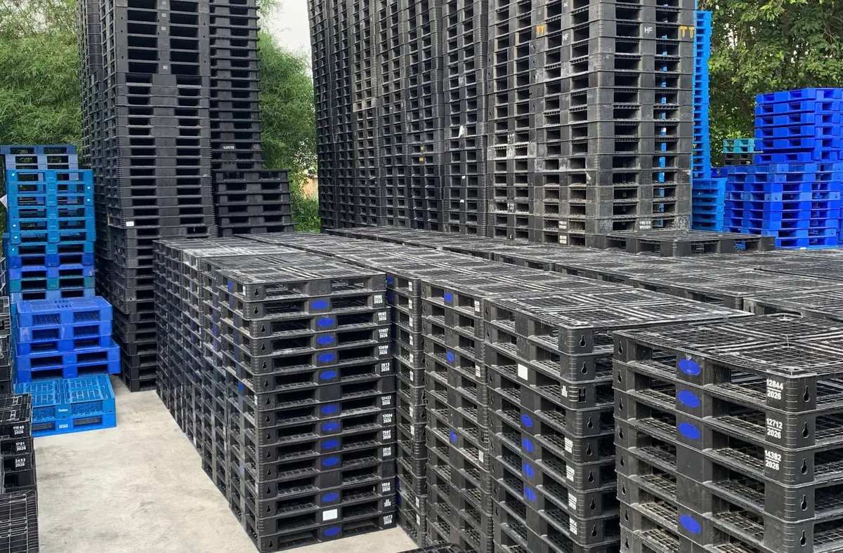 Bãi pallet nhựa đen và xanh dương xếp sẵn tại kho Mai Trâm, TP.HCM