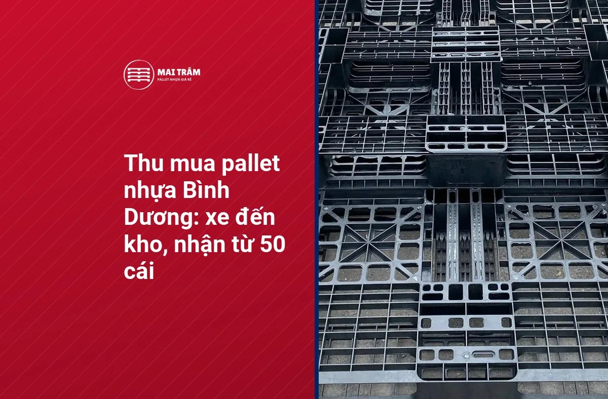 Thu mua pallet nhựa Bình Dương: xe đến kho, nhận từ 50 cái