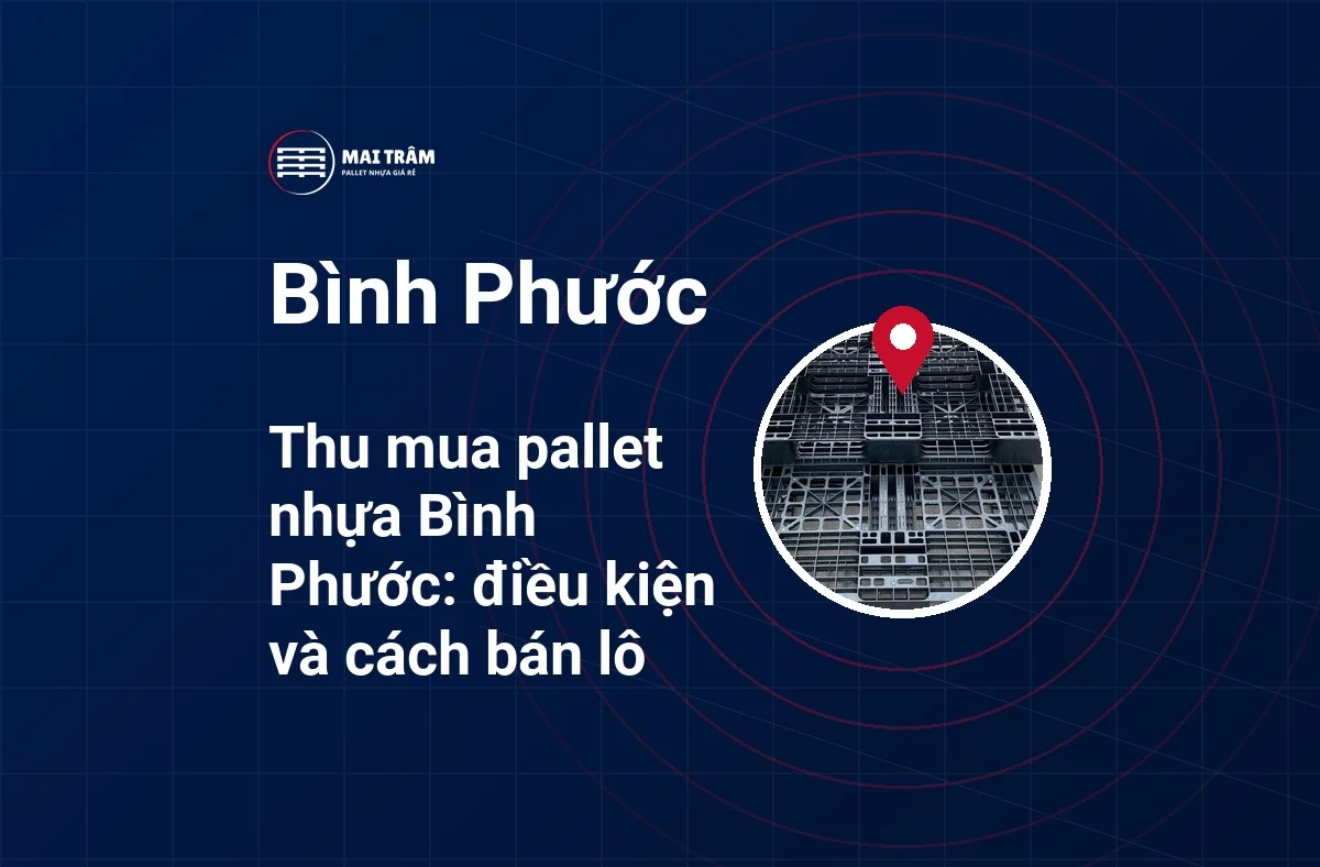 Thu mua pallet nhựa Bình Phước: điều kiện và cách bán lô