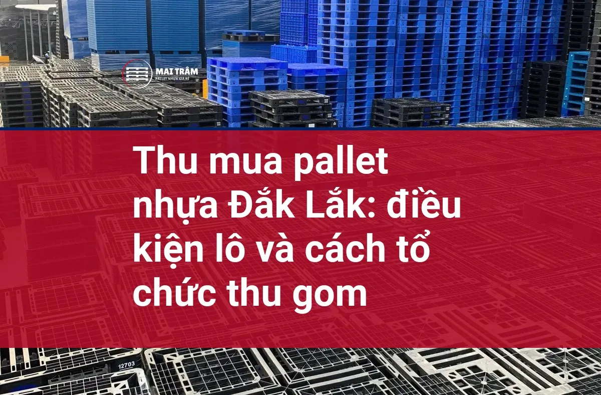 Thu mua pallet nhựa Đắk Lắk: điều kiện lô và cách tổ chức thu gom