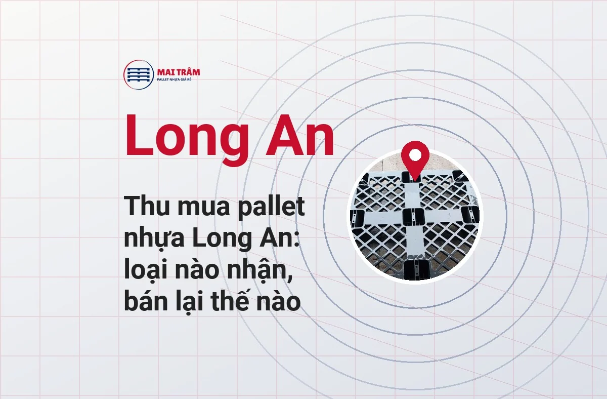 Thu mua pallet nhựa Long An: loại nào nhận, bán lại thế nào