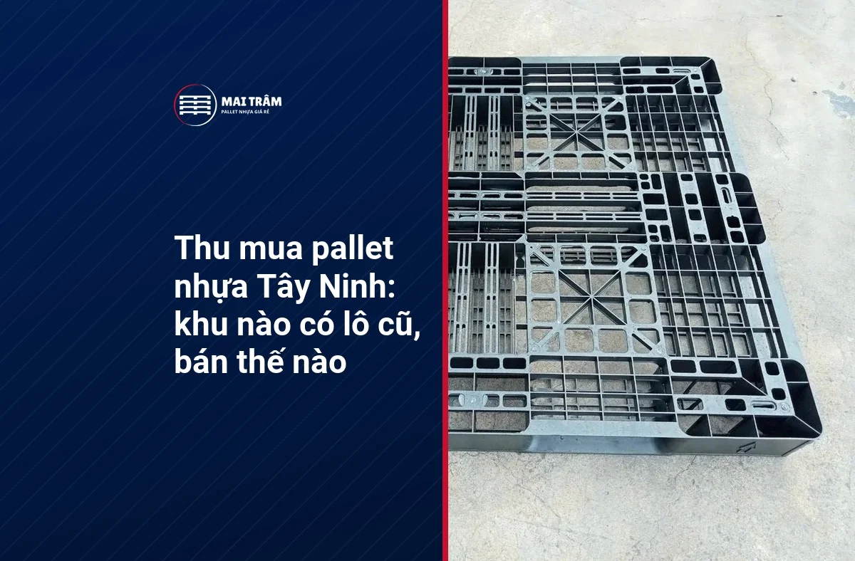 Thu mua pallet nhựa Tây Ninh: khu nào có lô cũ, bán thế nào
