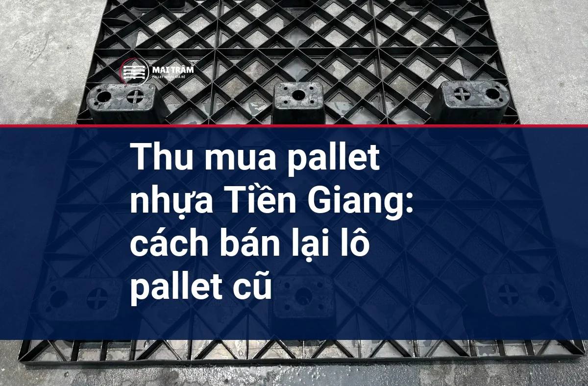 Thu mua pallet nhựa Tiền Giang: cách bán lại lô pallet cũ