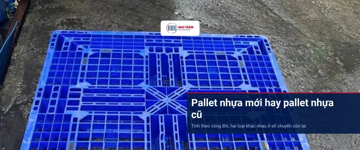 Mặt trên một chiếc pallet nhựa cũ màu xanh dương đặt trên nền xưởng, dùng để xét pallet nhựa mới hay cũ theo vòng đời