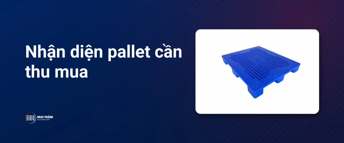 Pallet nhựa trong khung ảnh minh họa chi tiết cần xem khi nhận diện lô hàng.