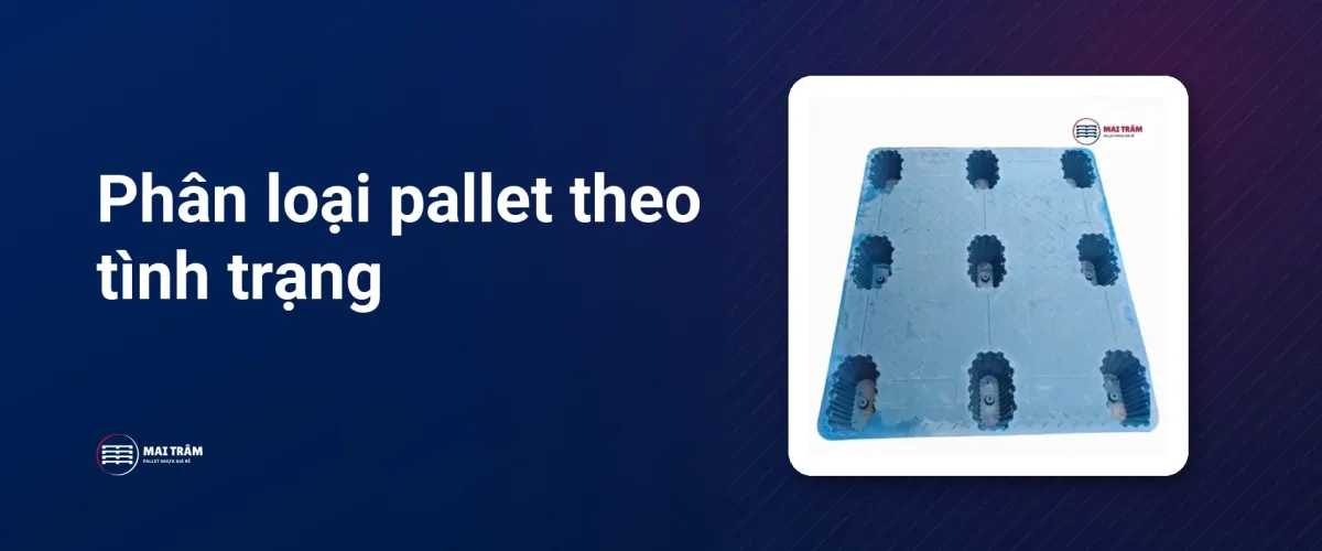 Mặt dưới pallet nhựa với các chân đỡ hiện rõ, gợi ý chi tiết cần ghi nhận khi phân loại.